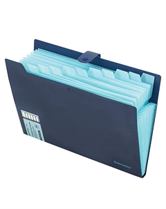 Папка-органайзер на кнопке Extra А4 Brauberg