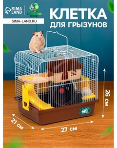 Клетка для грызунов «», укомплектованная, 27×21×26 см, коричневая Пижон
