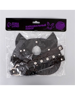 Карнавальный набор «Строгая киска», маска кошки кожаная, чокер Страна карнавалия