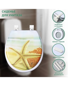 Сиденье для унитаза с крышкой Доляна «Пляж со звездой», 40×37 см, мягкое