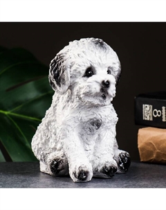 Копилка для денег «Пудель», гипс, 15×14 см Хорошие сувениры