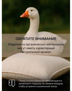 Подушка высокая Тихий Час Пуховые, размер 50×70 см, тик Belashoff