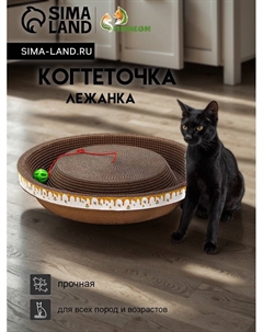 Когтеточка-лежанка «» из гофрокартона с кошачьей мятой «Пчелка», 45×9 см Пижон