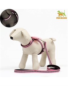 Комплект со светоотражающей шлейкой и крыльями «Ангел», ошейник 120×1.5 см Пижон