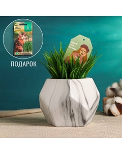 Кашпо для цветов «Лучший день сегодня», 13×13×10 см, керамика, белое Take it easy