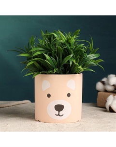 Декоративный горшок для цветов «Мишки», 11×11×11 см, керамика, бежевый Take it easy