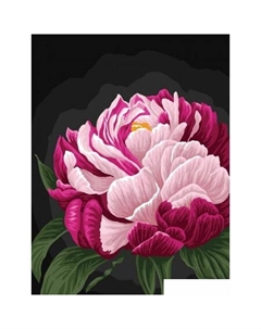 Картина по номерам Цвет пиона КК_53817 Три совы