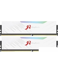 KRRW 2x32ГБ DDR5 6400 МГц K5.01.FLA5FE9301 Kingbank
