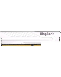 KJXS 8ГБ DDR4 3200 МГц K5.01.FP049C7202 Kingbank