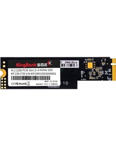 SSD KP230 512GB K5.02.FPL1512202 Kingbank
