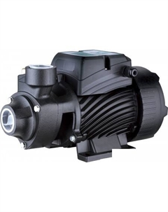 Самовсасывающий насос QB70 Pumpman