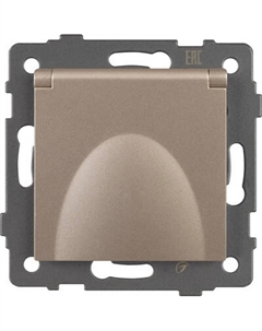 Розетка Arlight SCT-MCP-PL-GD-V / 049837