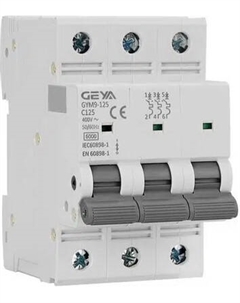 Выключатель автоматический Geya GYM9-125-3P-80D