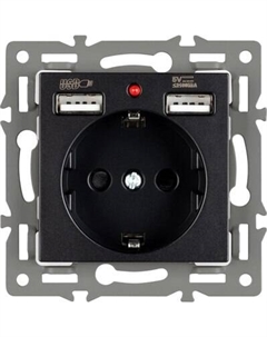 Розетка Arlight SCT-MUAA-PL-BK / 043734