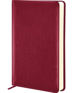 Ежедневник inФормат Персона / IFDN-PERA5/Bu Inформат