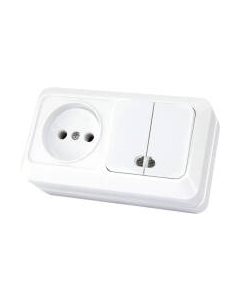 Блок выключатель+розетка TDM Ладога SQ1801-0108 Tdm