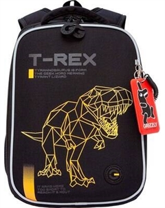 Школьный рюкзак Grizzly RAw-595-1