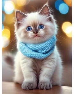 Набор алмазной вышивки Феникс+ Кот в шарфе / 70855 Feniks