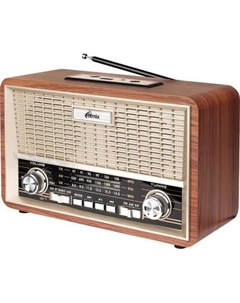 Радиоприемник Ritmix RPR-111