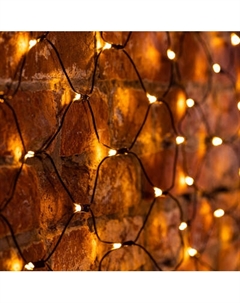 Светодиодная сеть Neon-Night 215-026 Neon-night