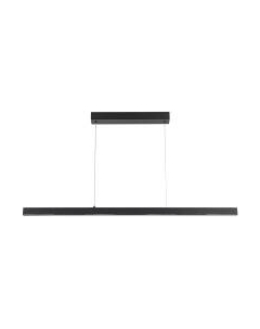 Потолочный светильник Arte Lamp Lao A2190SP-1BK Arte lamp