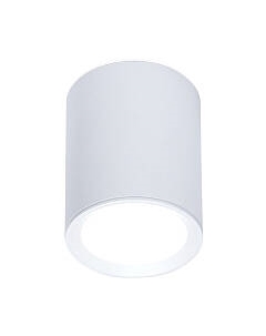 Точечный светильник Ambrella TN215 WH/S