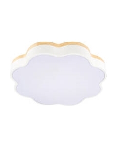 Потолочный светильник Loftit Axel 10225/36