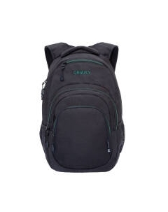 Рюкзак Grizzly RQ-003-31