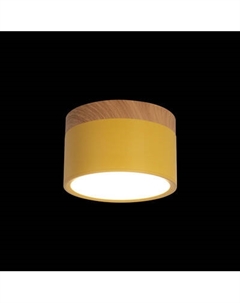 Точечный светильник Loftit Grape 10162