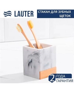 Стакан для зубной щетки и пасты Lauter 21BCO50-1C