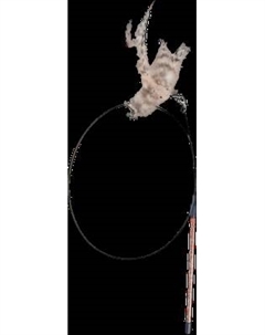 Игрушка для кошек Dogman Птица