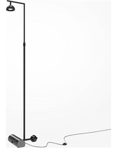 Торшер Maytoni Pikant MOD372FL-L10B3K