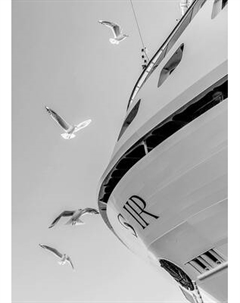 Картина на стекле Stamprint Корабль и чайки AN025