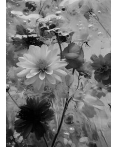 Картина на стекле Stamprint Цветы 2 SP039