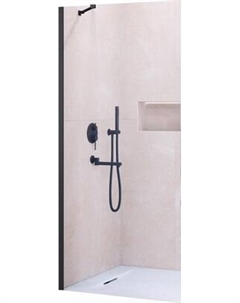 Душевая стенка RGW WA-110B / 351011014-14 Rgw