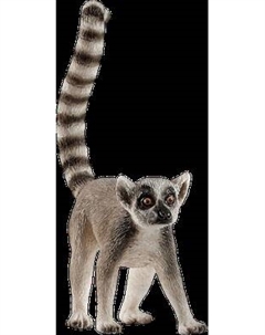 Фигурка коллекционная Schleich Кошачий лемур / 14827