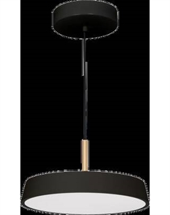 Потолочный светильник Arlight SP-ELEGANT-R300-17W Day4000 BK 120deg / 033920(1)