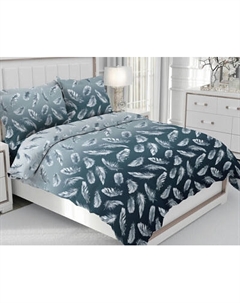 Пододеяльник Реноме 2сп Перо омбре 71012-1