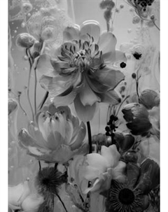 Картина на стекле Stamprint Цветы 1 SP038