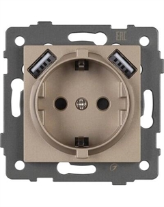 Розетка Arlight SCT-MUAA-PL-GD-V / 049821