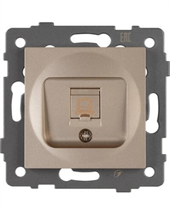 Розетка Arlight SCT-MPC1-PL-GD-V / 049849