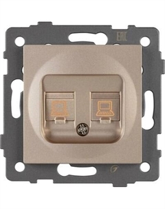 Розетка Arlight SCT-MPC2-PL-GD-V / 049850