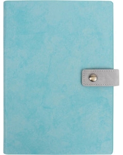 Ежедневник Darvish DV-11600D