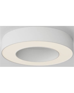 Потолочный светильник Maytoni Lua C093CL-24W3K-W