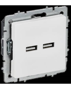 Розетка IEK Brite BR-U21-D31-K91 Iek