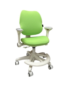 Стул регулируемый Antey GREY/чехол T14 GREEN Ergosmart