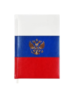 Ежедневник датированный 2025, A5, 168 листов, . Flag, твёрдая обложка с поролоном из искусственной кожи, тиснение фольгой, перфорация, ляссе, блок 70 г/м2 Devente