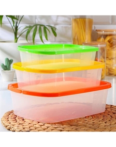 Набор пищевых контейнеров «BioFresh», 3 шт.: 1 л, 1.6 л, 2.3 л, цвет микс Sparkplast