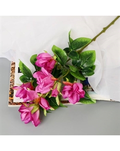 Цветы искусственные «Магнолия», 5×56 см, фиолетовые Poetry in flowers