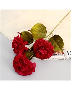 Цветы искусственные «Гибрид пиона», d=10 см, h=66 см, бордовые Poetry in flowers
